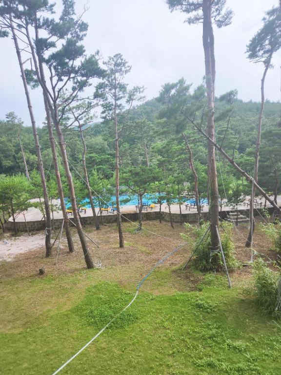 Sokcho Daemyung Heidi Pension Exterior foto